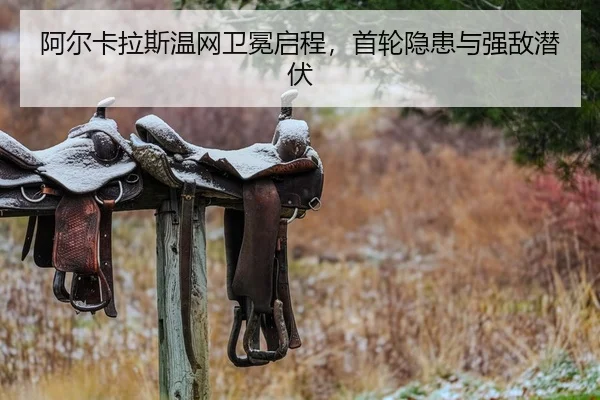 a-er-ka-la-si-wen-wang-wei-mian-qi-cheng-shou-lun-yin-huan-yu-qiang-di-qian-fu-2-505.jpg